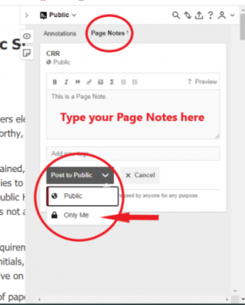 Pagenotes